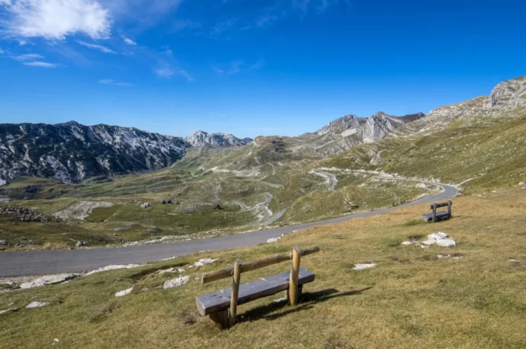 U susret novogodišnjim praznicima, ORGANIZUJEMO: KIĆENJE i UKRAŠAVANJE GRADA