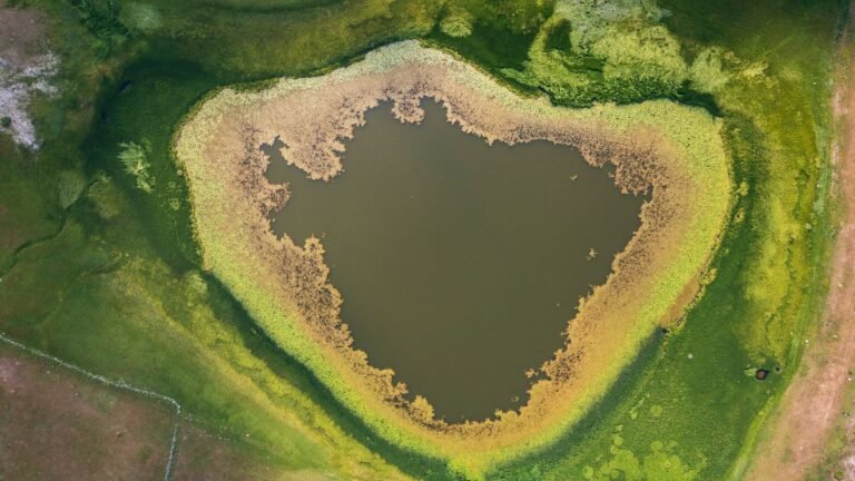 Barno jezero – planinsko jezero među borovima i močvarnim biljem Durmitora