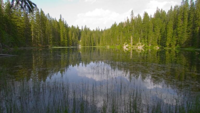 Zminje Lake – a small mountain lake surrounded by rocks and the greenery of Durmitor.
